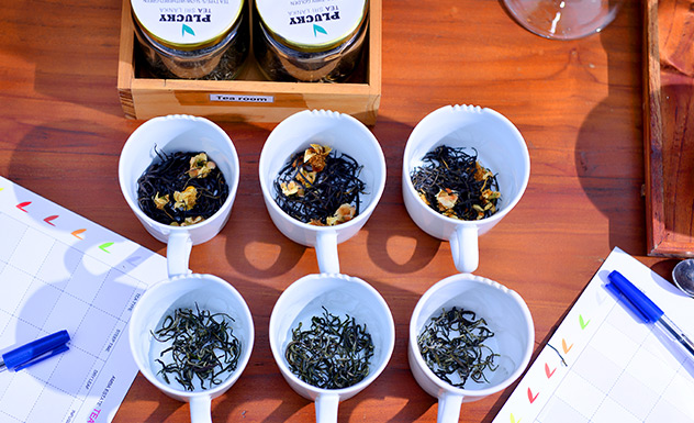 Artisanal Tea Making & Trek - Experience - Sri Lanka In Style